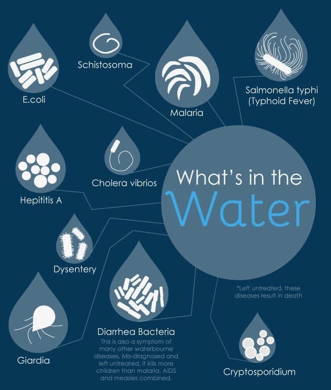 What's in the Water Infographic